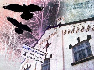 armoury collage copy