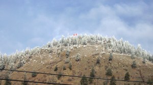 frost on hill light-contrast