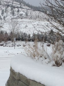 Snowfall on the weekend