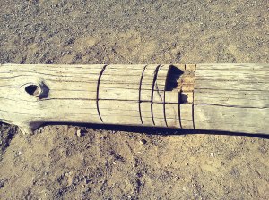 Along the Coldwater River, at Claybanks