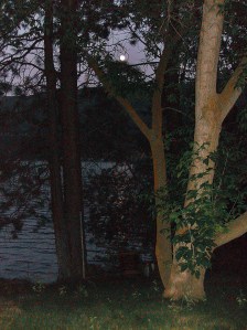 Nicola Lake moonlight