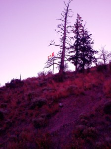 flagpole-pink