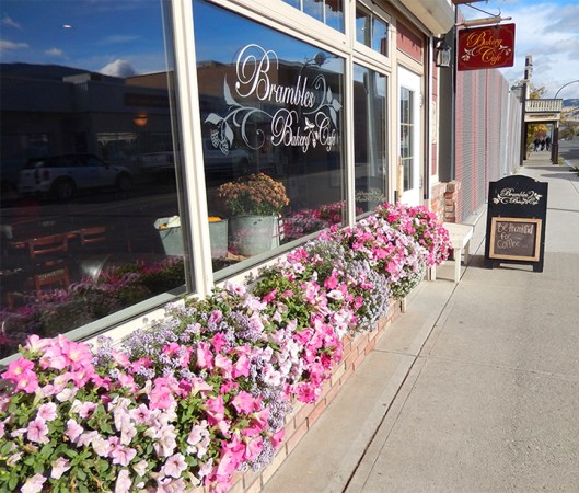Wednesday evening, vandals destroyed the beautiful flowers at Brambles, which still  looked as fresh in November as they did in September!
