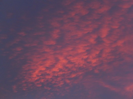 Wednesday's evening sky 