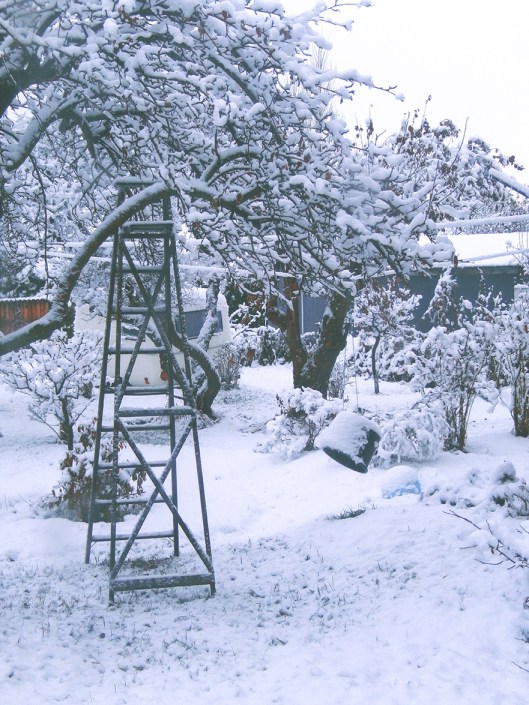 The first snow of the season won't last, with the snow level expected to rise to 1300 metres Monday night. Tuesday,they're calling for rain with a high of 10, then below freezing at night..