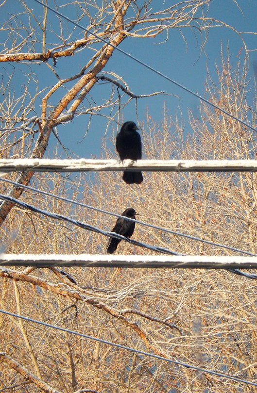 More winter weather on the way