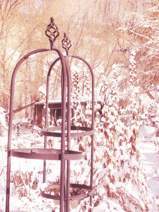 The Environment Canada weather forecast is for snow this week in the lead up to Christmas — but weather in the Nicola Valley is often un-forecastable!