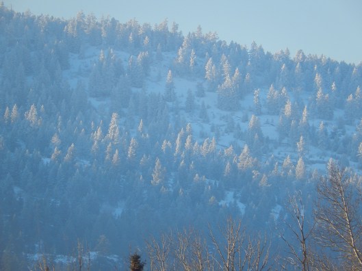 Last weekend's winter hills will take a beating this week, as temps are going to rise to 8°C by Sunday