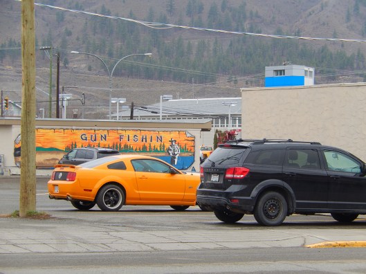 A pop of colour on a dull day.