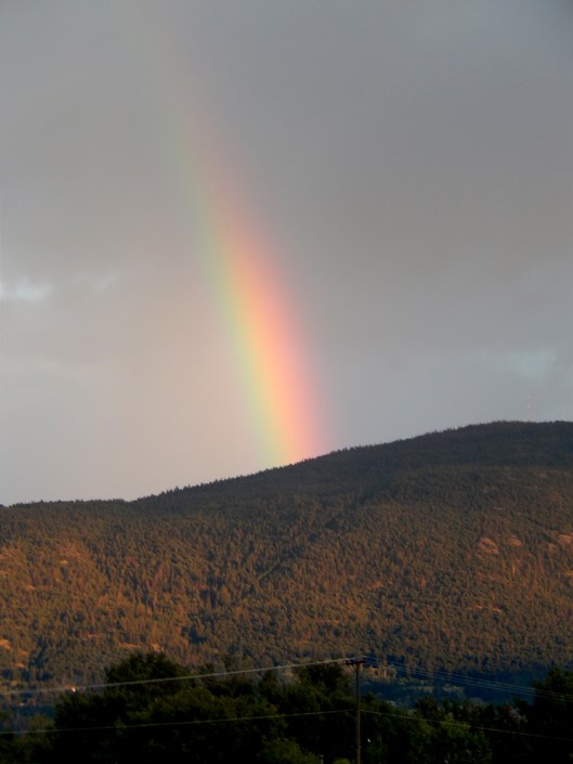 Lots of natural drama lately, and scientists acknowledge that more extreme weather will become the new normal, with climate change.