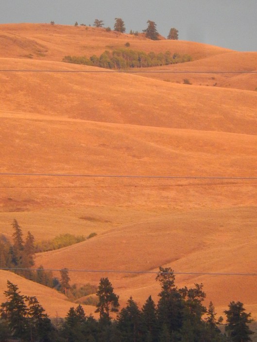 Sugarloaf Mtn at sunset from Gasoline Alley... only marred by the new power lines.