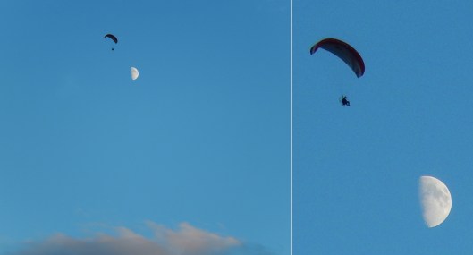 This local ultralight pilot has be seen buzzy around town this summer.