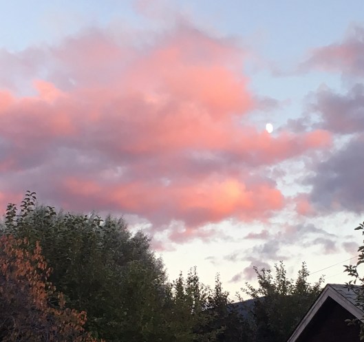 Countdown to Full Harvest Moon on Friday, the 16th.