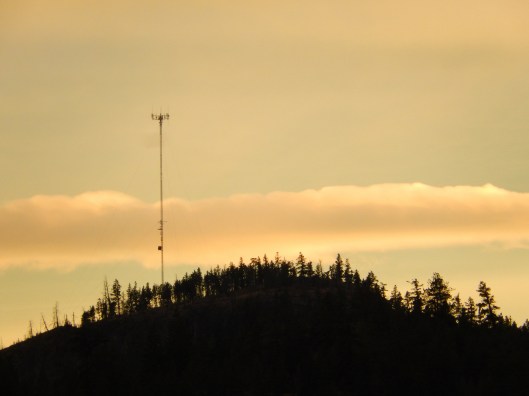 Intense evening light, with all the clouds this fall...