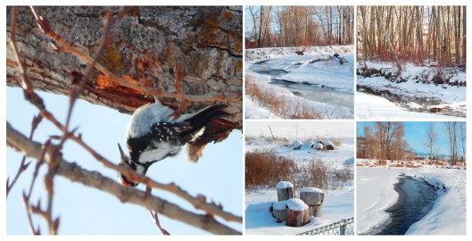 Another great reason to live here: the Coldwater River, which meanders right through town.