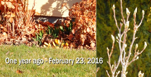 Compared to last year — perhaps the ealiest spring in decades — looks like Spring will be along at its 'normal' time.