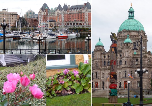 Victorian spring - Jan 20